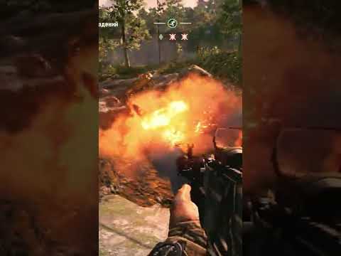 Тигру вообще по)(ую на коктейль молотова в Far Cry 4. / FC 4 #shorts