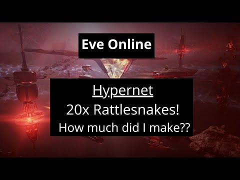 Eve Online –  20x Rattlesnakes on the Hypernet – Was it worth it!??