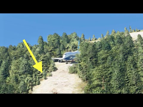 Microsoft Flight Simulator 2020 Went CRAZY