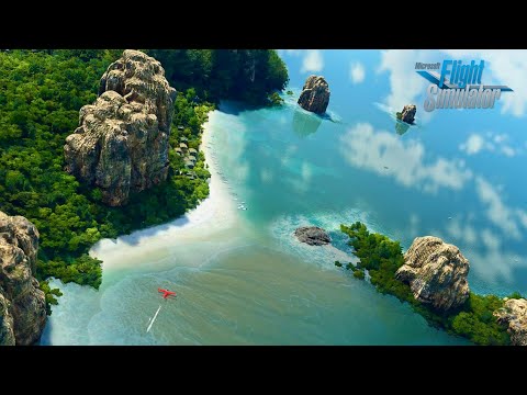 Microsoft Flight Simulator | Where Was This Picture Taken?!
