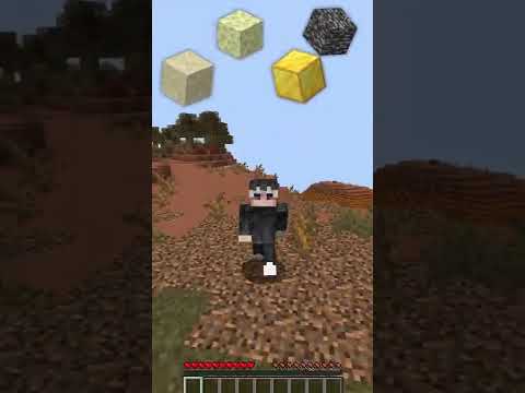 Minecraft, ale Jeśli Dotknę TYCH BLOKÓW Film się Skończy! #shorts