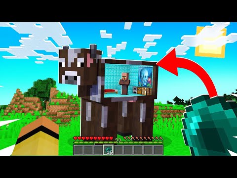 MINECRAFT MA PUOI ENTRARE IN OGNI MOB