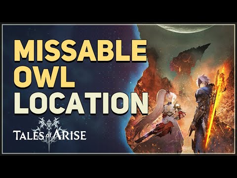 Missable Owl Tales of Arise Ship