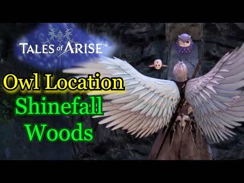 Owl Location Shinefall Woods! [Tales of Arise]