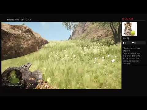 Playing far cry primal