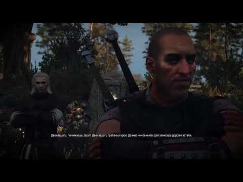 The Witcher 3 Wild Hunt – Прохождение игры на русском [#45]