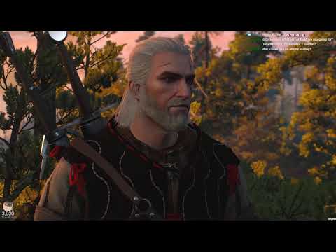 The Witcher 3: Wild Hunt First Playthrough | Part 5