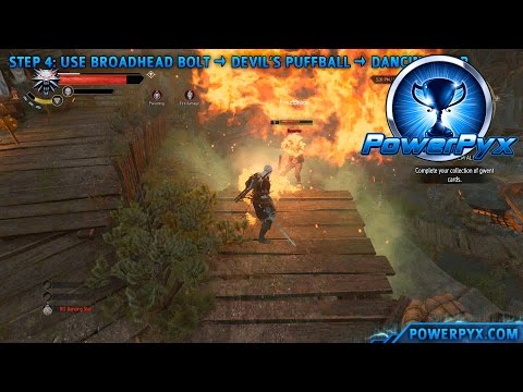 The Witcher 3 Wild Hunt – Overkill Trophy / Achievement Guide