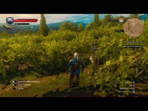 The Witcher 3: Wild Hunt: Testing pants and glove for 30 percent gathering