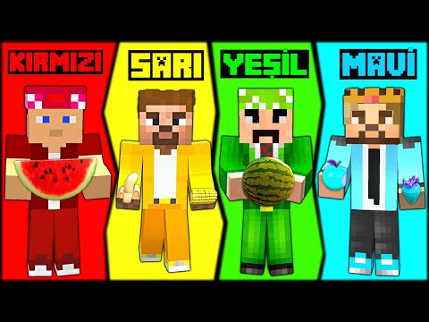 24 SAAT BOYUNCA TEK RENK CHALLENGE! 😱 – Minecraft