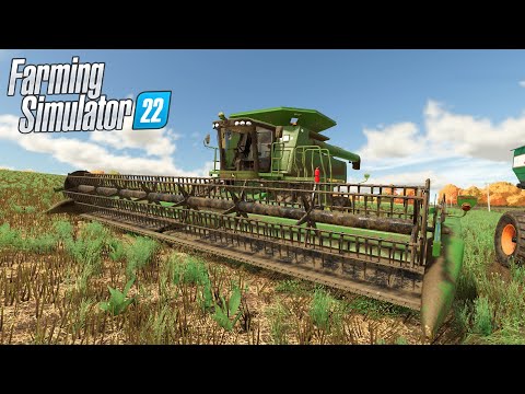 A PIRMEIRA SAFRA DO NOVO CAMPO | Farming Simulator 22 | COLONOS FS22 EP-31