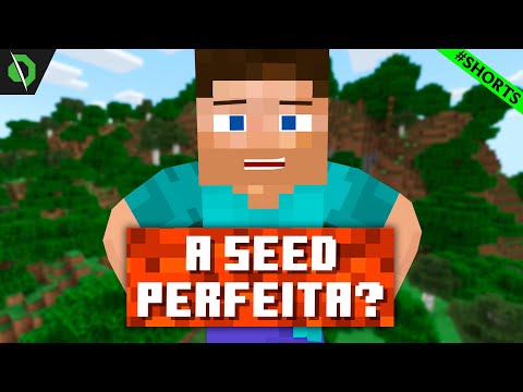 A SEED mais PERFEITA DO MINECRAFT! #SHORTS