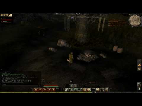 Age of Conan FunCom Fire Glitch!