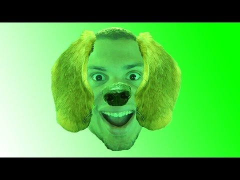 Am I A Dog? (Gary's Mod)