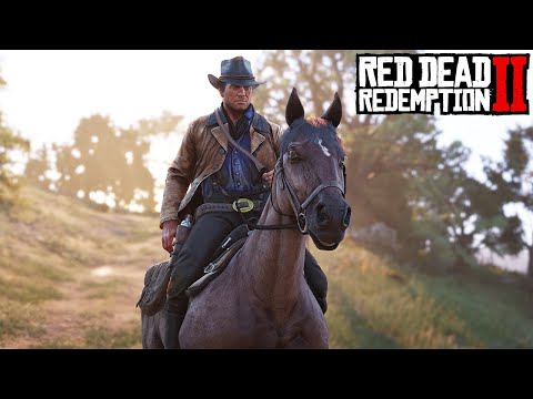 APAKAH INI AKHIR DARI ARTHUR? Red Dead Redemption 2 GAMEPLAY #11