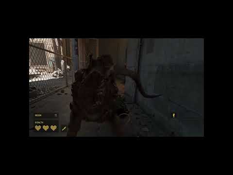 Are You Still Watching? | Half-Life Alyx Highlights