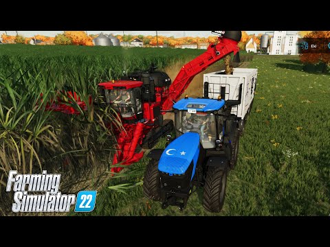 BİLMEM KAÇ MİLYON ŞEKER KAMIŞI HASADI // Farming Simulator 2022 #75