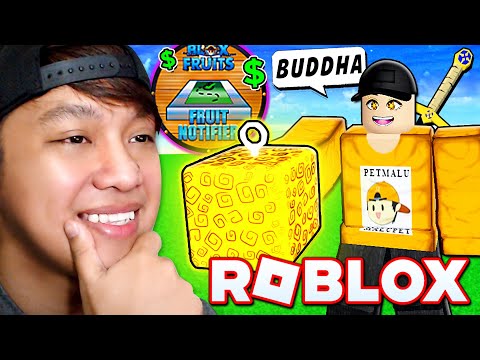 BLOX FRUITS | 12 HOURS DEVIL FRUIT HUNTING | ROBLOX