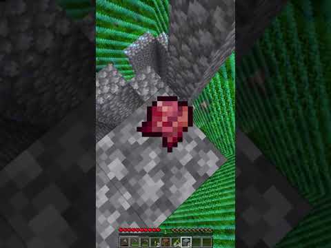Building An OP Mob Farm On The One Chunk Minecraft World! (#2) #shorts