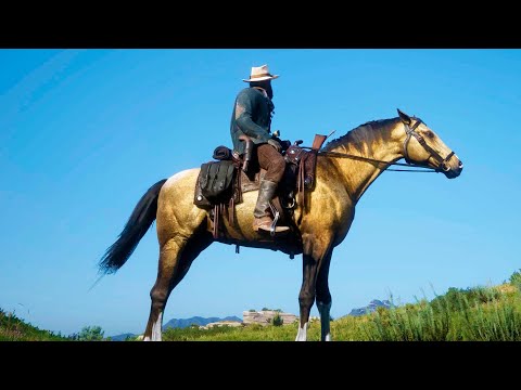 CABALLO DE ORO | RED DEAD REDEMPTION 2