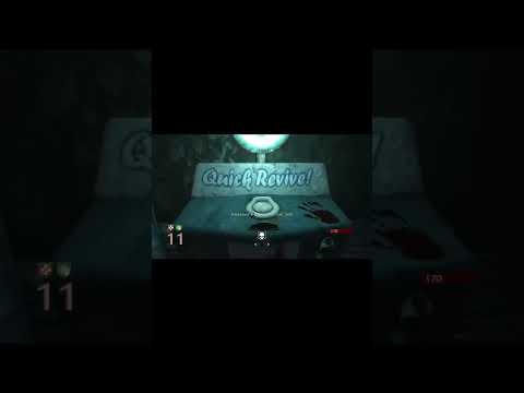Call of Duty: Black Ops  –Der Raise Quick Revive