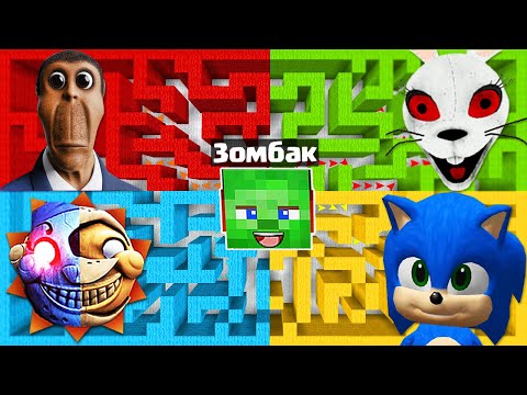 CHOOSE A MAZE SONIC RAINBOW FRIENDS OBUNGA HUGGY WUGGY IN MINECRAFT FNAF 9 POPPY PLAYTIME