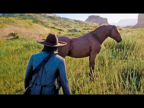 COMO ENTRENAR CABALLOS | RED DEAD REDEMPTION 2
