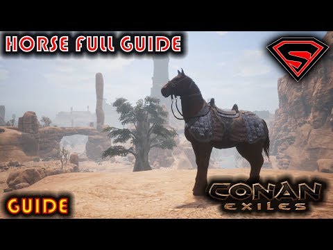 CONAN EXILES HORSE IN DEPTH GUIDE AND EVERYTHING YOU NEED TO KNOW ABOUT HORSES IN CONAN EXILES