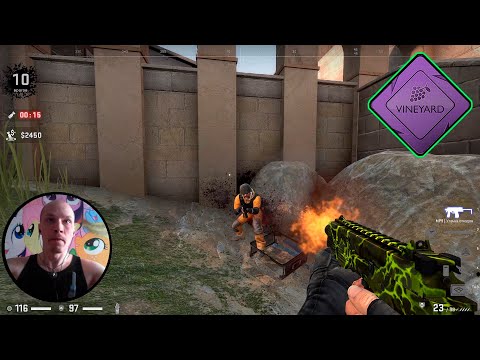 Counter-Strike: Global Offensive Запретная зона [Напарник – Варя] Danger Zone Vineyard