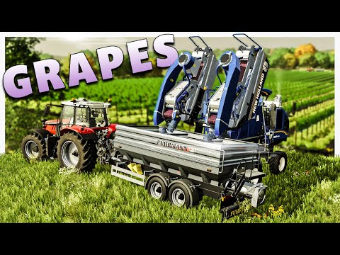 CRAZIN FOR RAISINS // Harvesting Grapevines For Production // Farming Simulator 2022 Gameplay