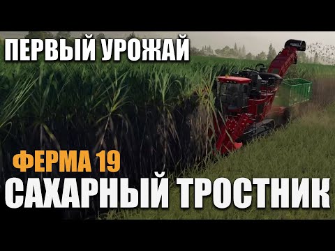 Всё о "Сахарный тростник" в farming simulator 2019 – Уборка, Продажа Тростника