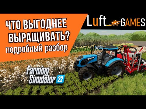 Что выгоднее выращивать в Farming Simulator 22? | подробный разбор