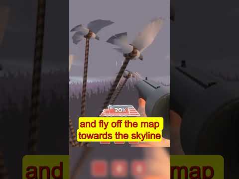 Did you know that in TEAM FORTRESS 2…