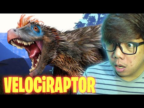 DRAMA VELOCiRAPTOR | ARK Nazca