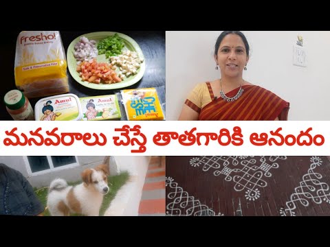 మా అమ్మాయి మీకు ఏదో చేసి చూపిస్తుందిట ||కుక్కపిల్లని చేరదీస్తే అంతేఇక ||మనవరాలు చేస్తే తాతగారి ఆనందం