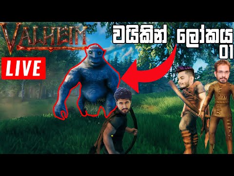 අපේ වයිකින් ලෝකය | Valheim #1