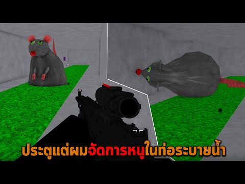 ประตูแต่ผมจัดการหนูในท่อระบายน้ำ Roblox DOORS But Bad