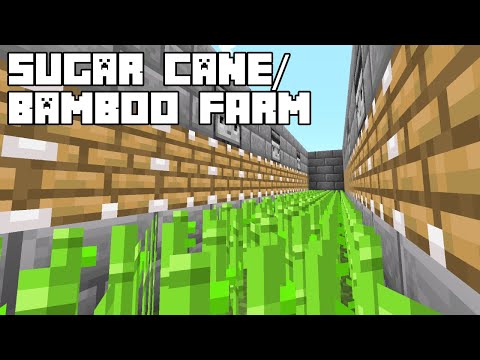 Efficient Sugar Cane Farm – Minecraft 1.16/1.17 Tutorial (Java Edition)