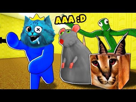🌈 Я стал СИНИМ МОНСТРОМ из РАДУЖНЫХ ДРУЗЕЙ Побег из Закулисья в ROBLOX Backrooms Morphs КОТЁНОК ЛАЙК