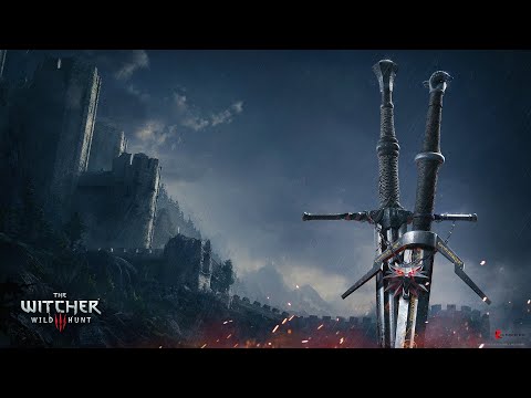 🗡The Witcher 3: Wild Hunt #014