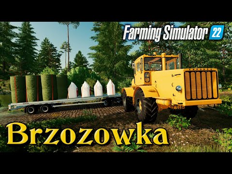🚛Farming Simulator 22🚛- Стрим.Новая Карта "Brzozowka". Карьера вместе с постоянными зрителями.