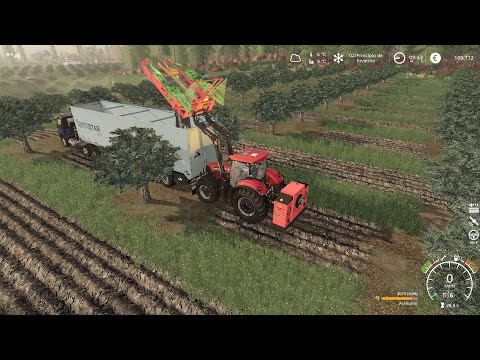 Farming Simulator 2019-12# Recogemos las aceitunas parte 2/ Harvesting olive tree part 2