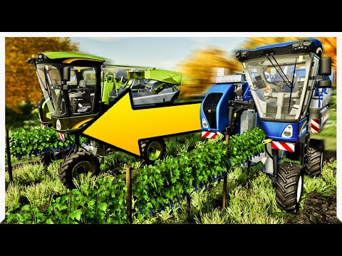FAST GRAPES // Cut Your Harvest Time IN HALF // Farming Simulator 2022 Gameplay