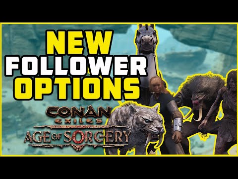 Follower Combinations Age of Sorcery | Conan Exiles 2022