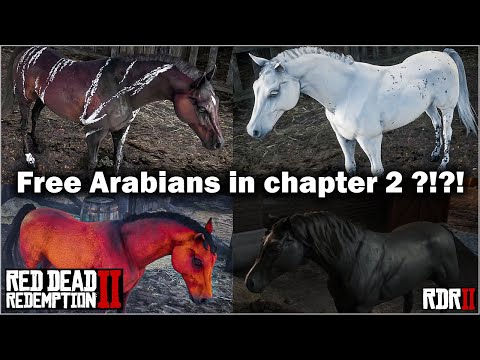 Four free Arabian Horse in chapter 2 in Red Dead Redemption 2 in 2021 – Black Arabian, RDR2.