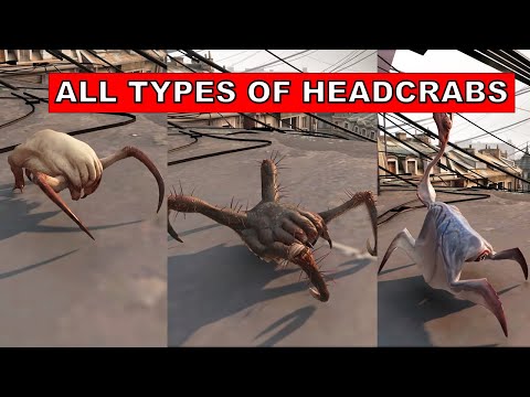 Half Life Alyx – All Types of HEADCRABS