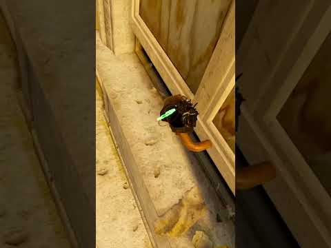 Half Life Alyx VR Открыл окно.