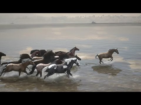 Horses – Red Dead Redemption 2 – MORGAN horse herd