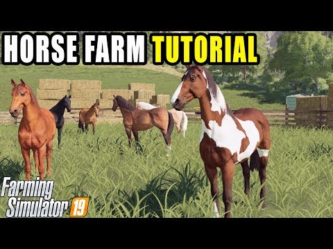 HOW TO: RAISE HORSES IN FARMING SIMULATOR 2019 | HORSE TUTORIAL