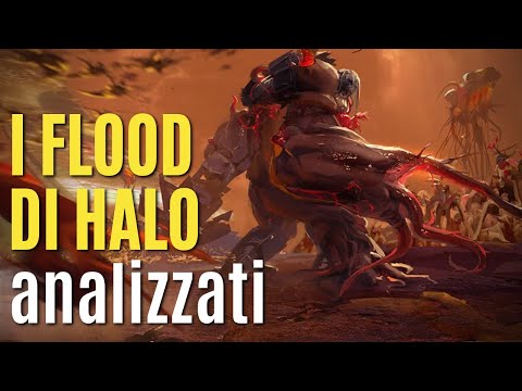 I FLOOD di HALO analizzati